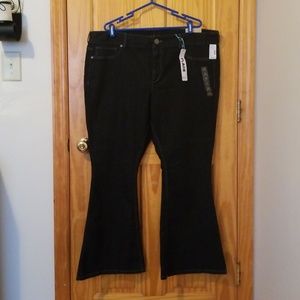 ☆NWT☆Maurices Jeans